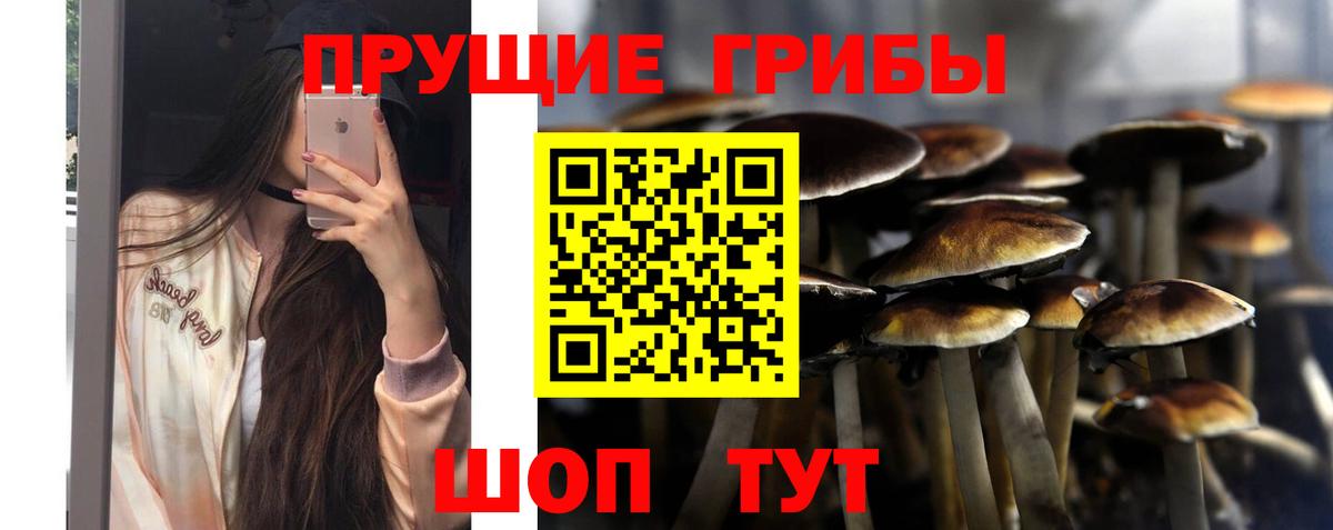 Псилоцибиновые грибы ЛСД  Вход с VPN  Большой Камень 